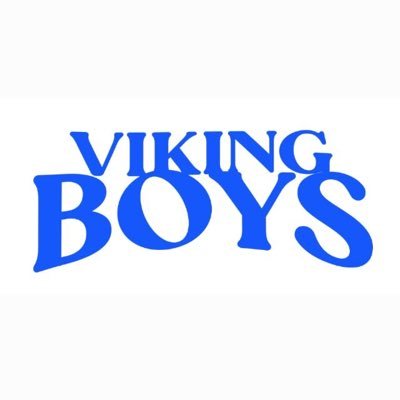 VIKING BOYS's profile picture