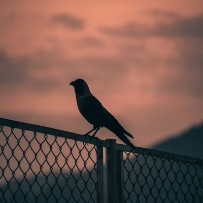 jason's profile picture