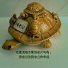 Фото профиля 木木木