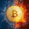 Фото профиля MA Cryptopia