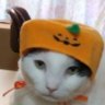 Profilbild von てるみ
