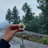 Manahil Saeed 🇵🇰 的头像