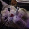 chasix profil fotoğrafı