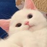 Profilbild von 慎
