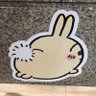 Фото профиля アサカラキング
