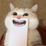 范特西的猫's profile picture