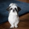 Фото профиля Buddyfuzzy