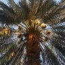 ابوفالح عبدالله's profile picture