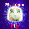 Mr. DragonPig (Mads Frøkjaer Enthusiast) profil fotoğrafı