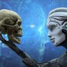 AliIQ's profile picture