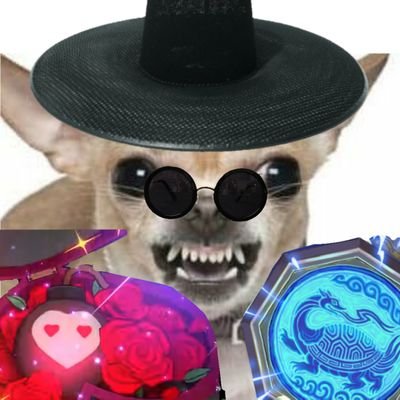 개빡치와와's profile picture
