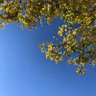 Фото профиля YOSHYOSH