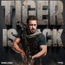 Tiger Zinda hai profil fotoğrafı