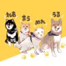 Profilbild von まめしば+