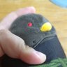 いーと profil fotoğrafı