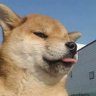 转角's profile picture