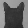 Katpitalis profil fotoğrafı