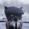 SS22|صلوا على النبيﷺ's profile picture