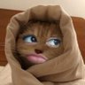 Profilbild von F
