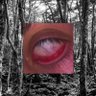 Profilbild von Noah C. 