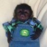 Gera's profile picture
