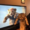 село асфальтоване's profile picture