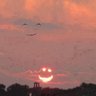 🇹🇷🙏bipolar.🙏🇹🇷 profil fotoğrafı