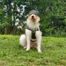 J profil fotoğrafı