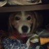 blueskylife's profile picture