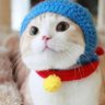 忘川's profile picture