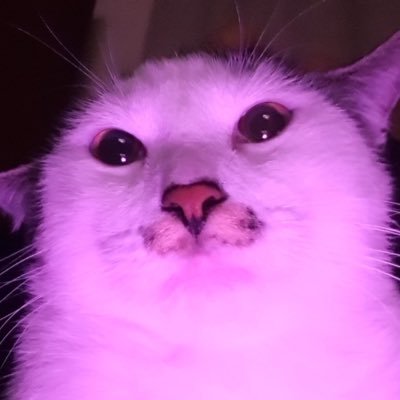 ina's profile picture