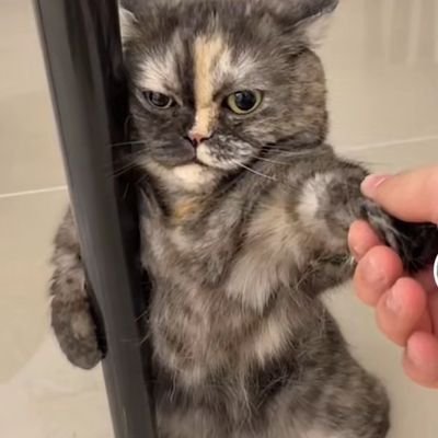 Wuji's profile picture