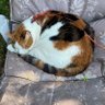 Profilbild von Brandy