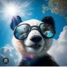 网上老司机 profil fotoğrafı
