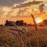 Fizikçi profil fotoğrafı