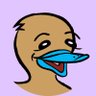 Radimus Platypus profil fotoğrafı
