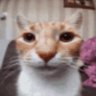 Profilbild von khaledx