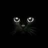 ★ Ali | 1995's profile picture