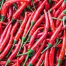 Cayenne Pepper 的头像