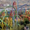 Coaster53's profile picture