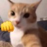 Profilbild von Pene_De_hormiga 🍆🐜