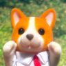 コーギー農場's profile picture