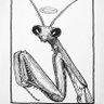Фото профиля Rocío Jiménez León. $BEYOND