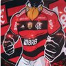 Profilbild von O Flamengo é maior que qualquer jogador