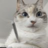 Profilbild von Marlon?