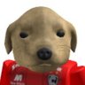 Profilbild von Cachorrao de Cienciano