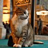 Фото профиля Bir HEKİM işte..