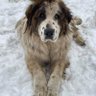 Batbold profil fotoğrafı