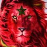 رضوان المغربي profil fotoğrafı