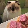 Морриаррти's profile picture